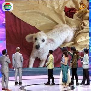 Meet your Posher, Carla